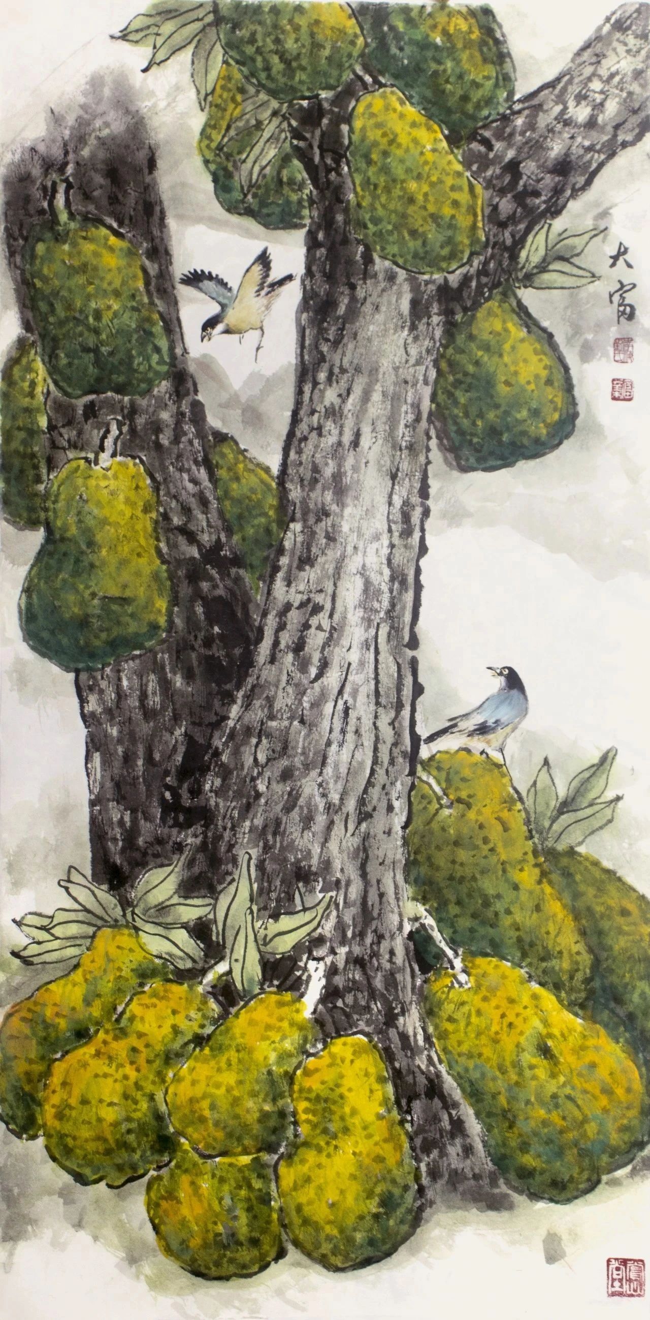 圖片