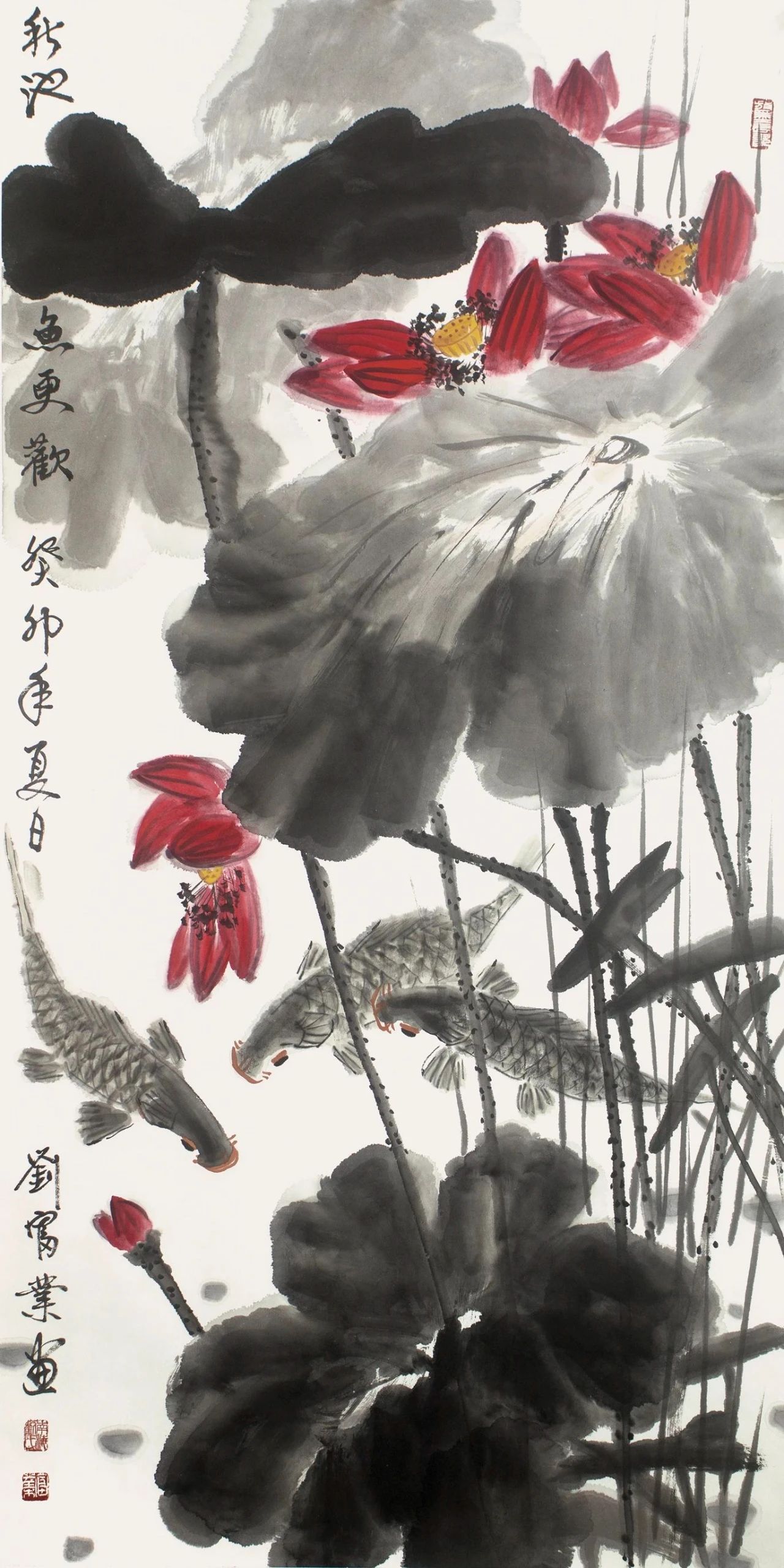 圖片